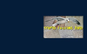 StupidBird web slider